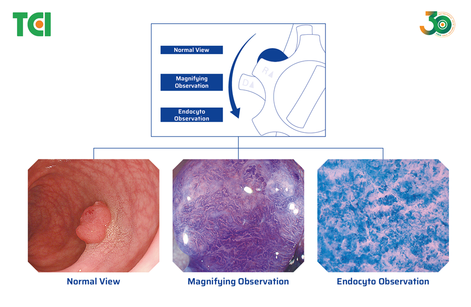 Endocyto 520x system