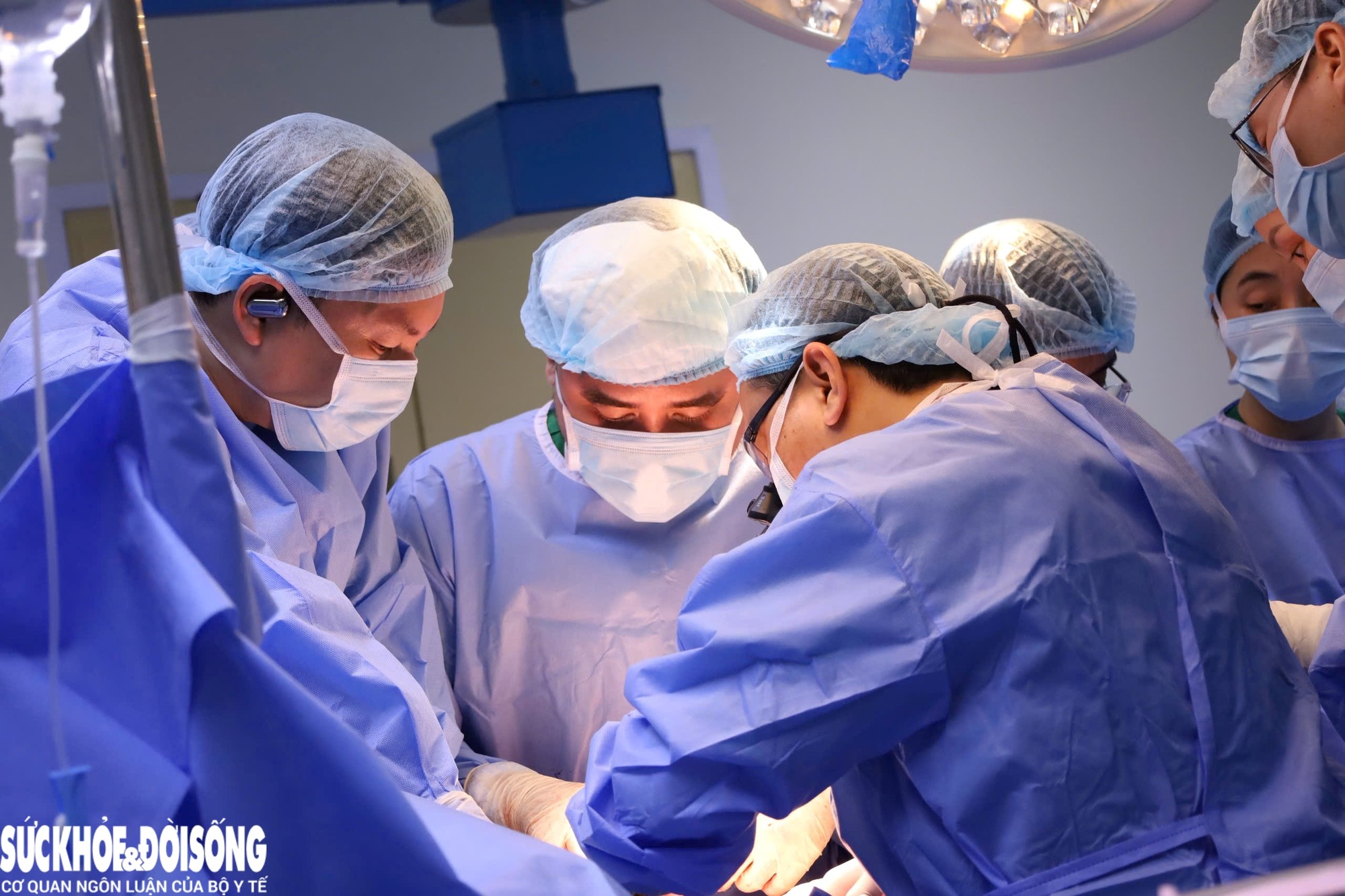 Organ transplant procedure from a brain-dead donor