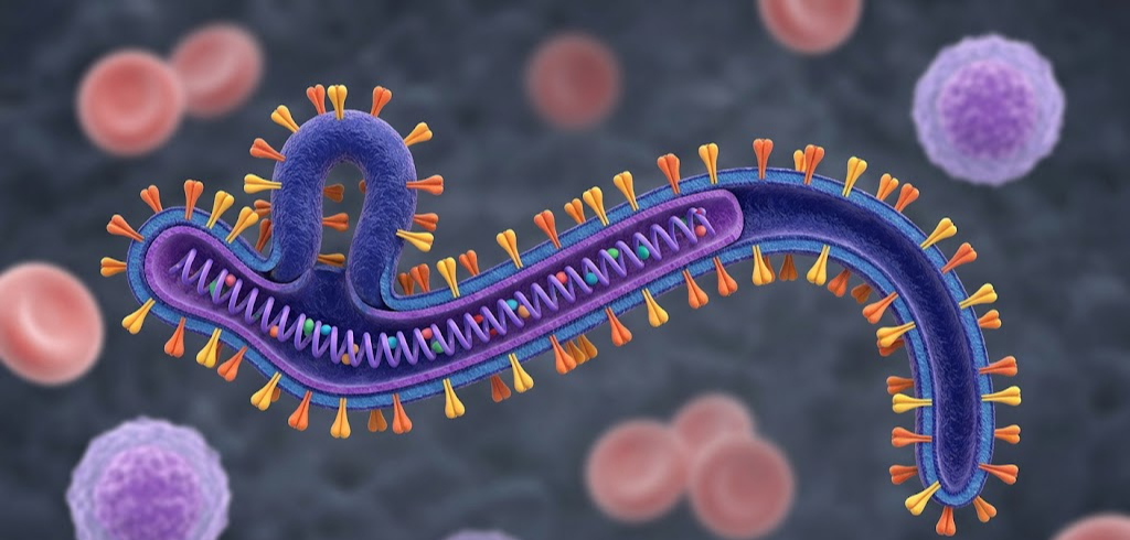 Prevention and Control of Ebola Virus Disease